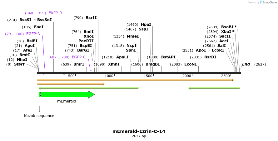 84263_map