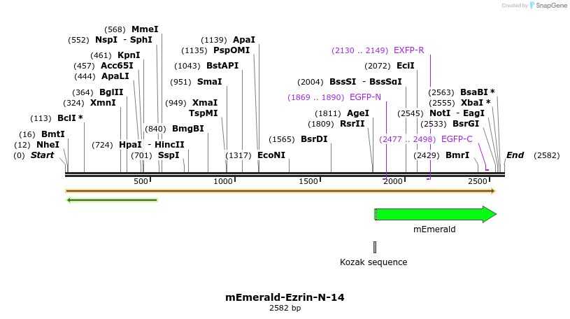84264_map
