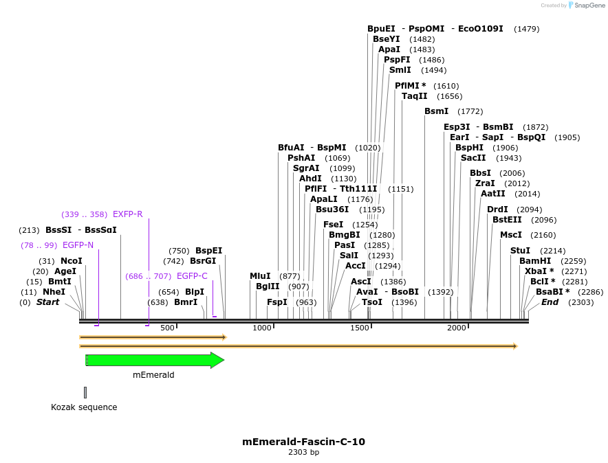 84268_map