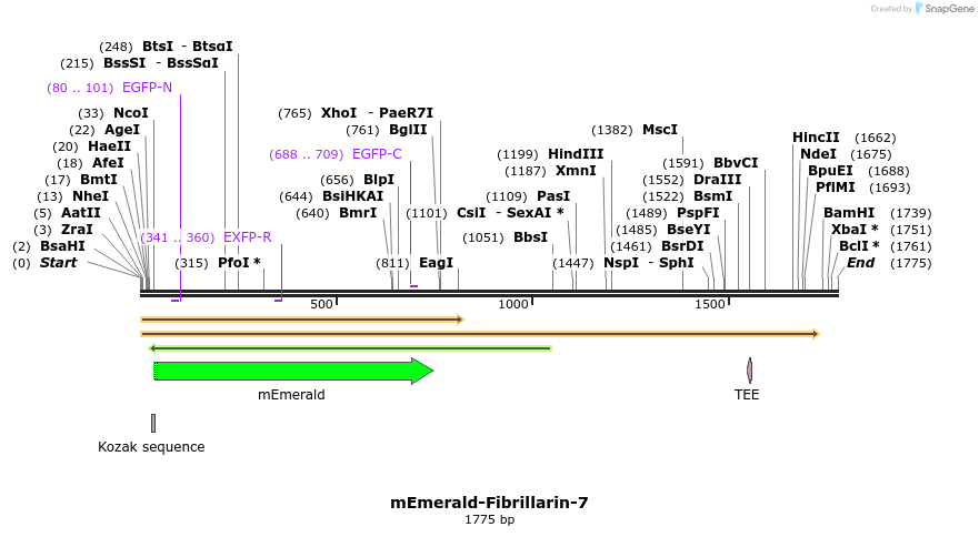 84270_map