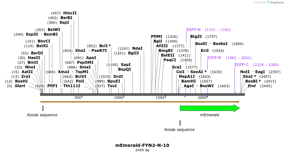 84274_map