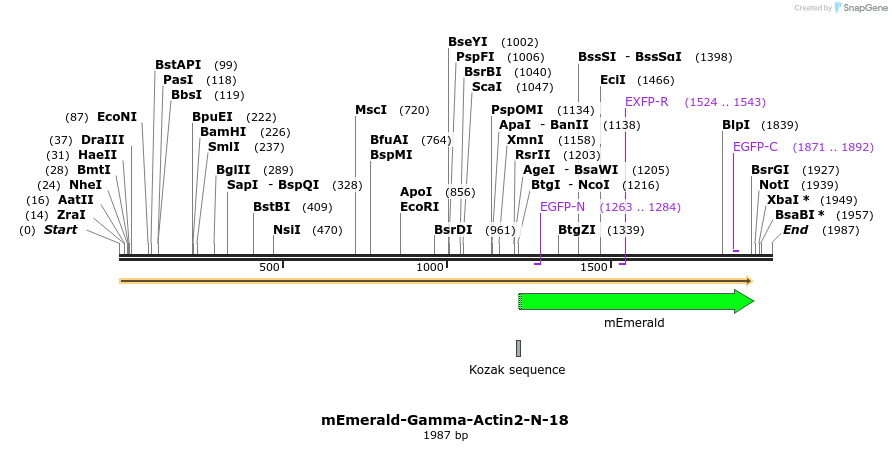 84276_map