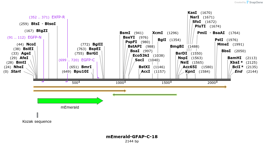 84277_map