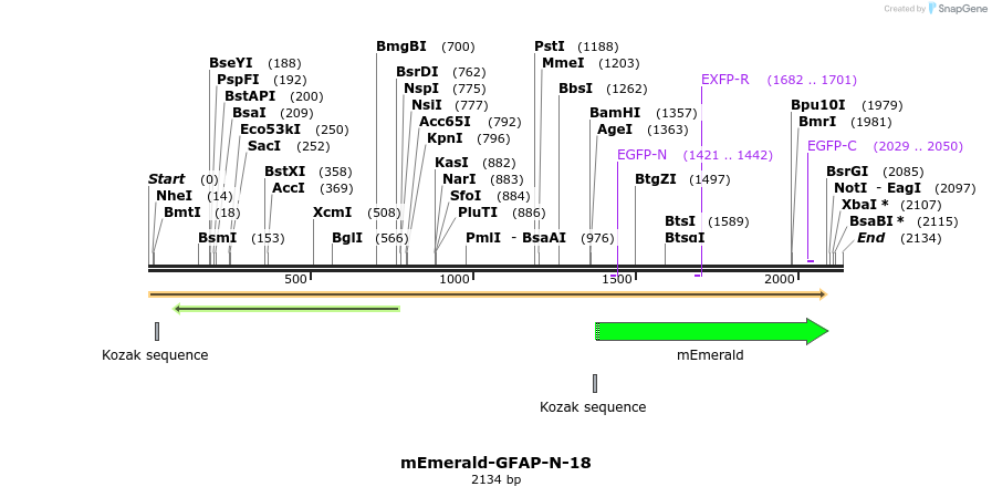 84278_map