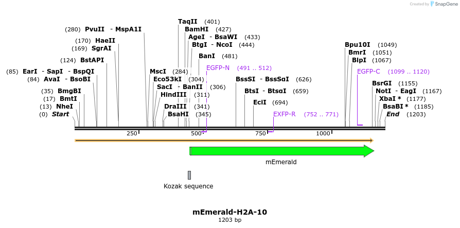 84281_map