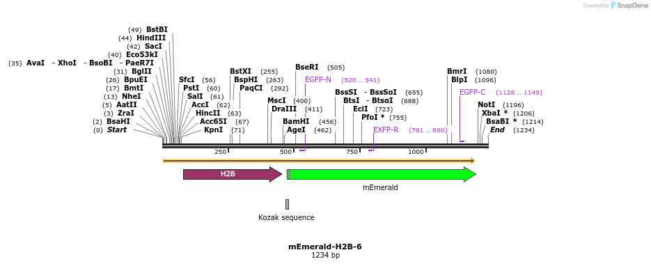 84282_map