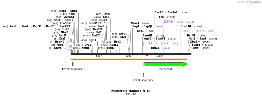 84290_map