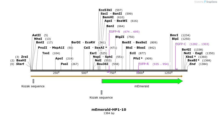 84291_map