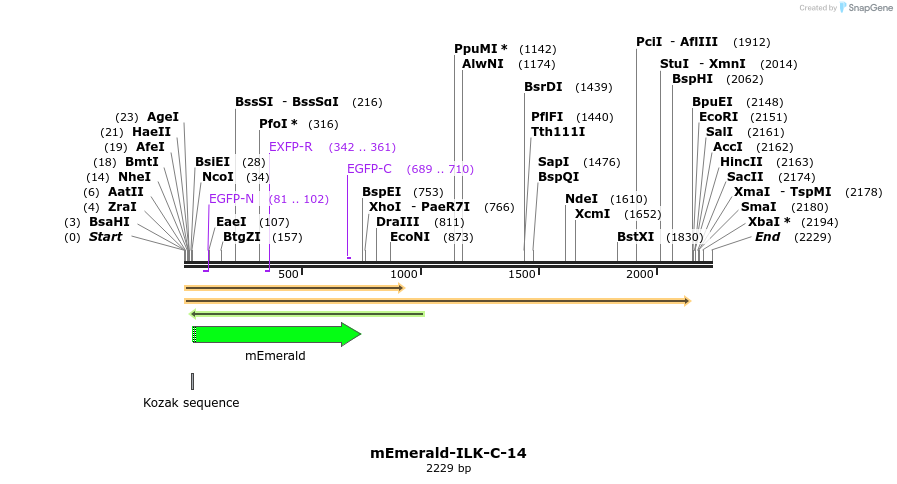 84293_map