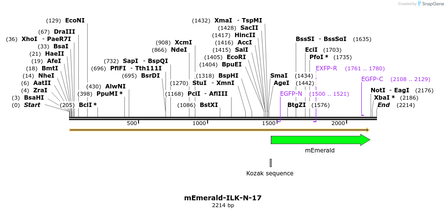84294_map