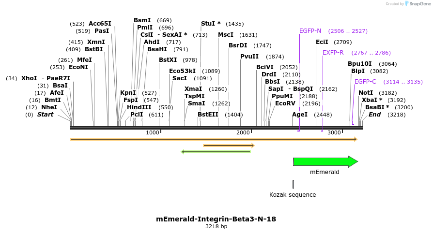 84296_map