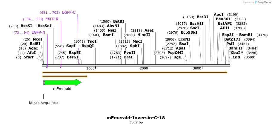 84297_map