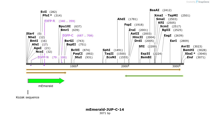 84298_map