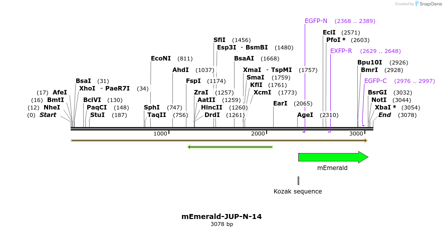 84299_map