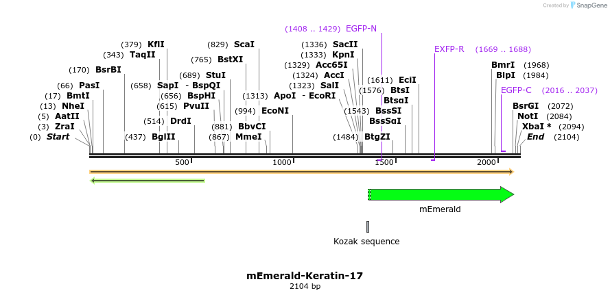 84300_map