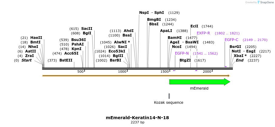 84302_map