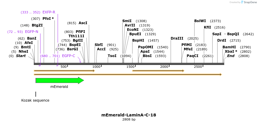 84304_map