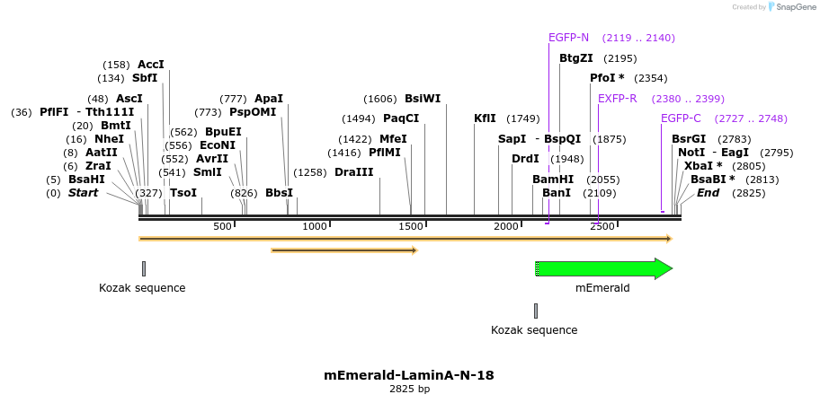 84305_map