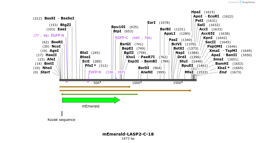 84309_map