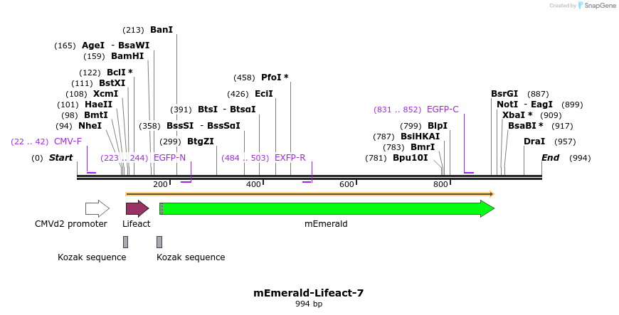 84313_map