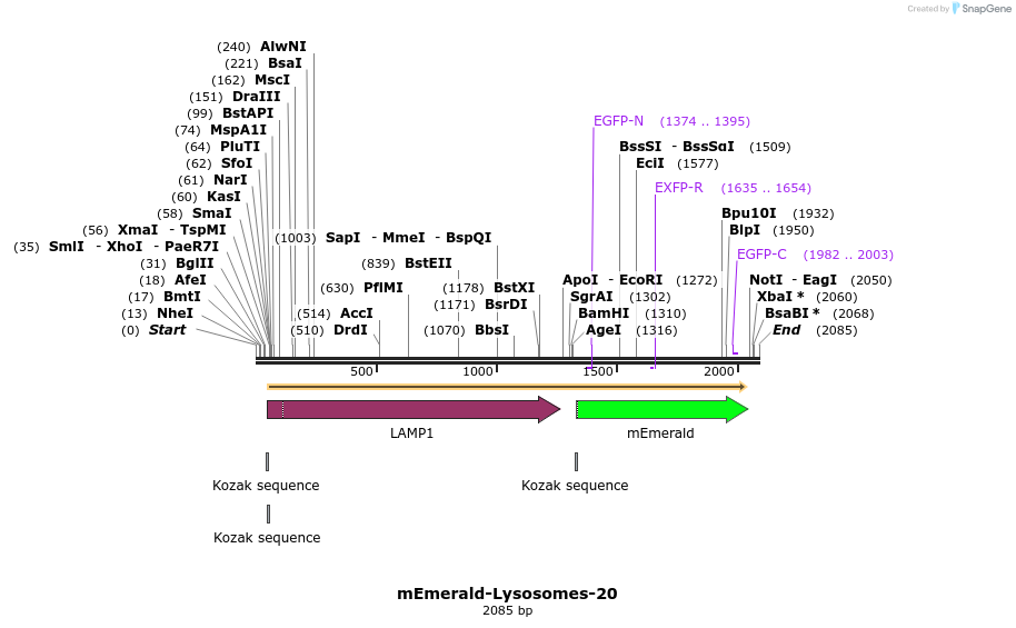 84314_map
