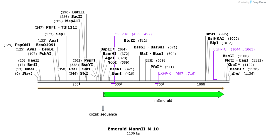 84315_map