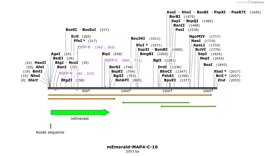 84316_map