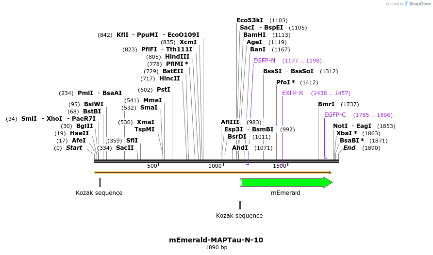 84319_map