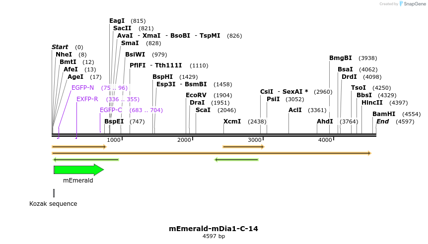 84320_map