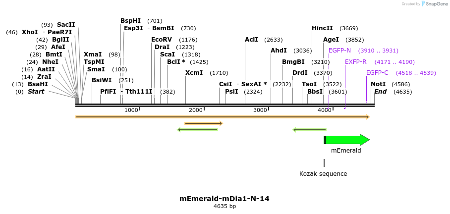 84321_map