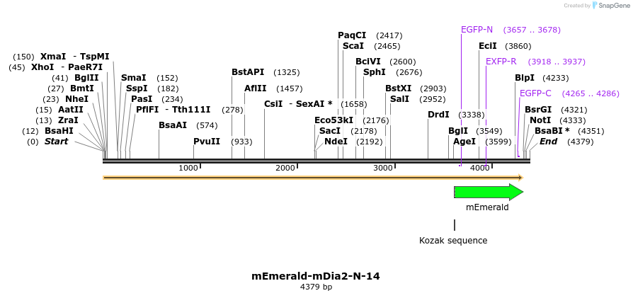 84323_map