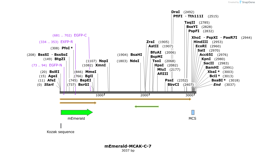 84325_map