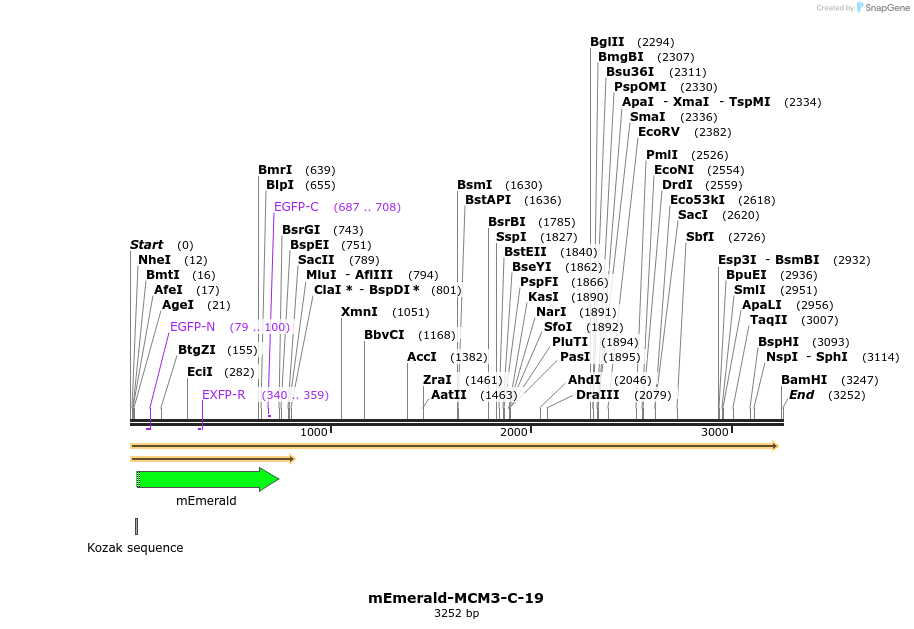 84327_map
