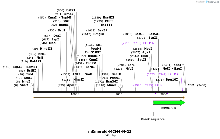 84328_map