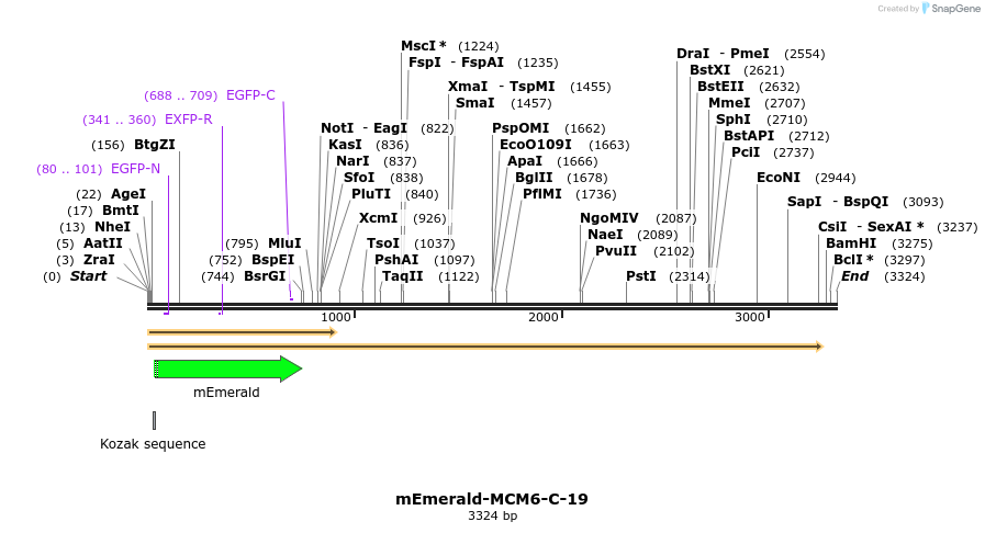 84329_map
