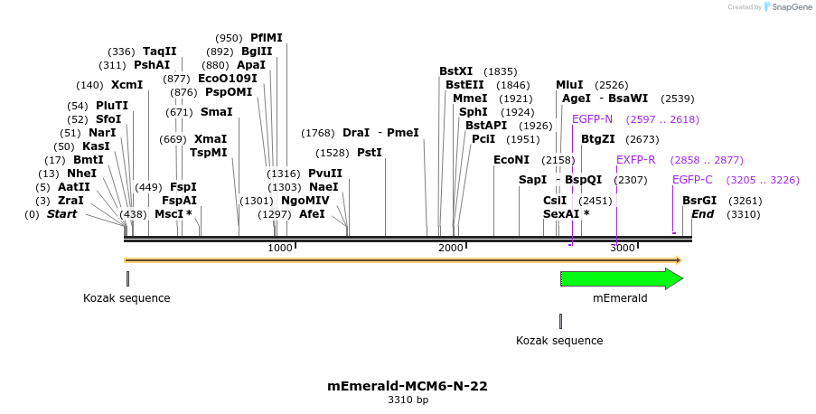 84330_map