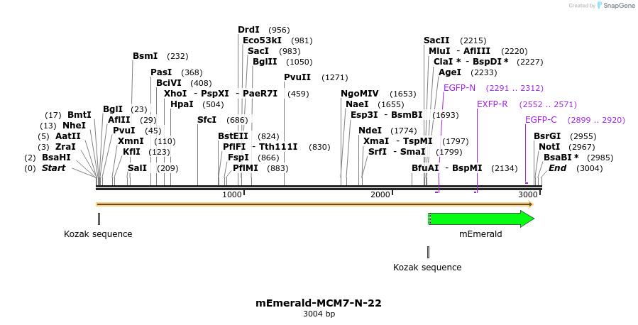 84331_map