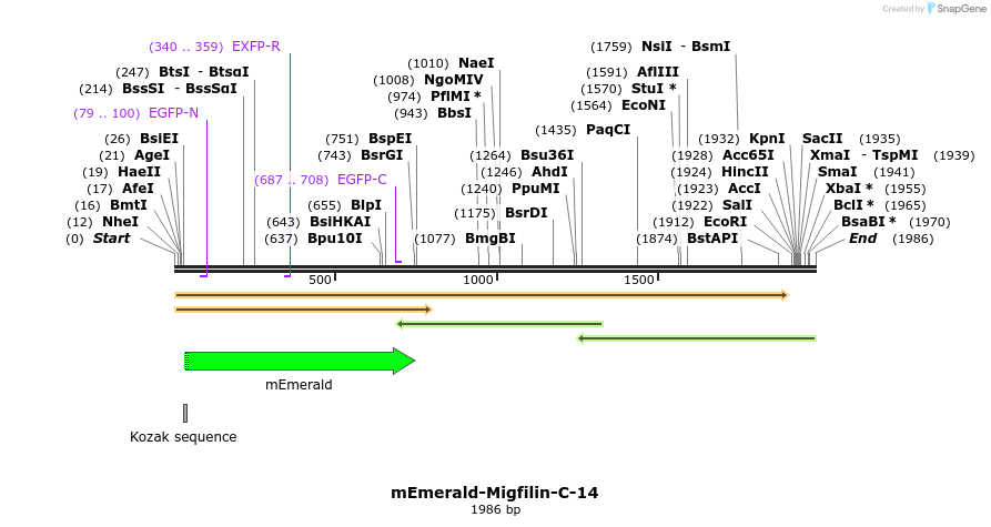 84332_map