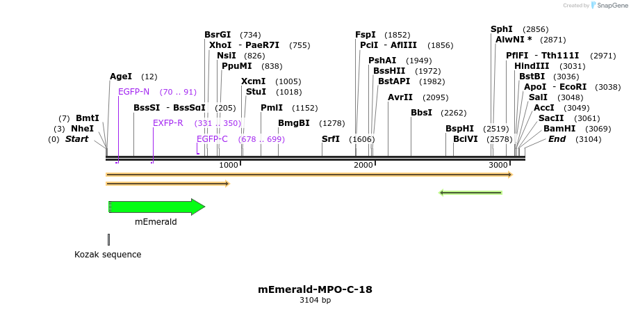 84336_map