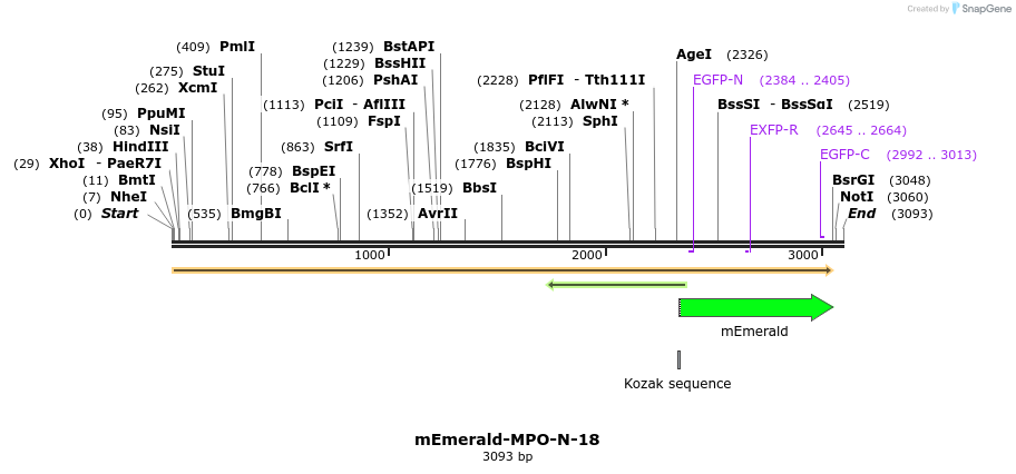 84337_map