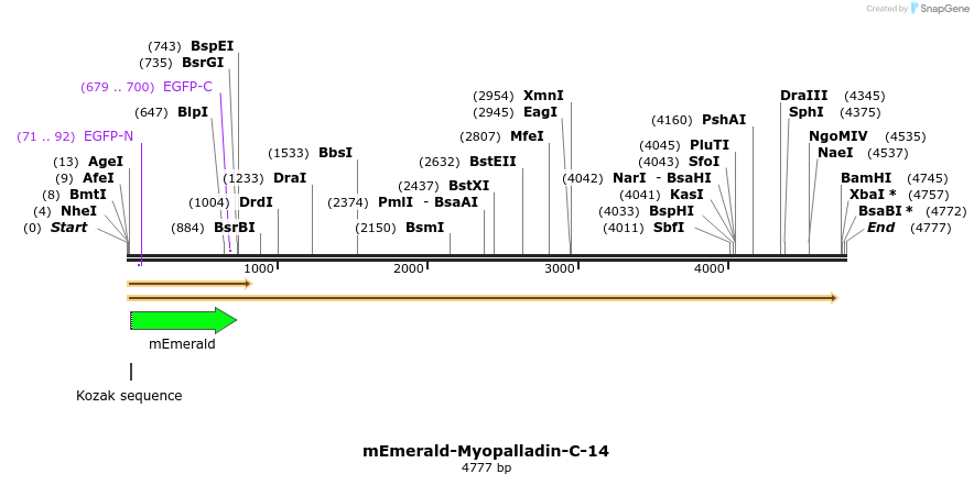 84338_map
