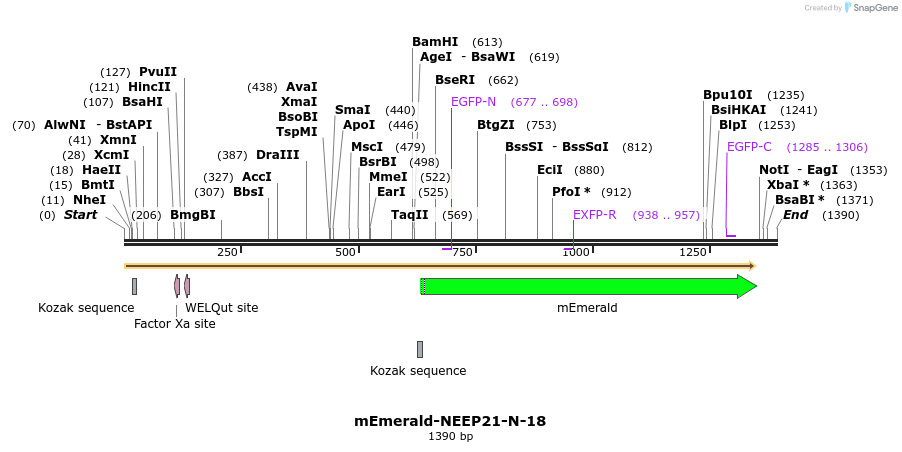 84350_map