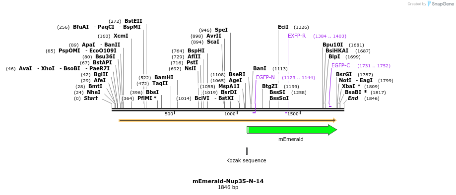 84353_map