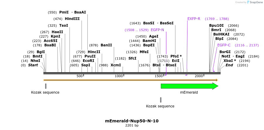 84355_map