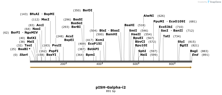8436_map