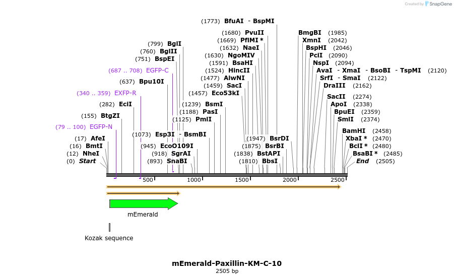 84362_map
