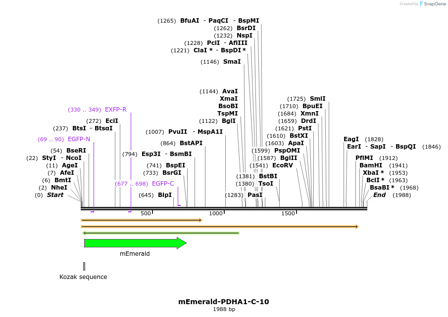 84369_map