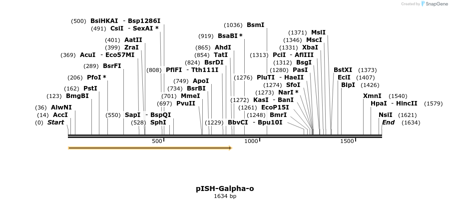 8437_map