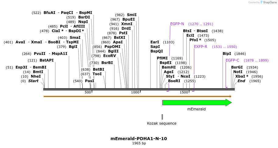 84370_map