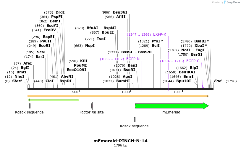 84375_map